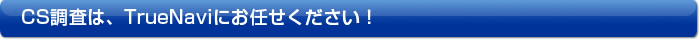 CS調査はTrueNaviにお任せください！