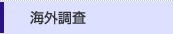 海外調査